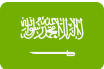 saudi flag